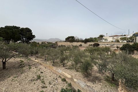 Landejendom i Petrer, Alicante, Petrer - € 349.900 | Ref: JJMAO7381 - foto 17
