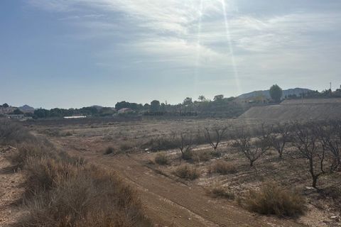 Terra a Monovar, Alicante, Monovar - € 49.000 | Ref: GM2815 - foto 2