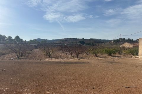 Terra a Monovar, Alicante, Monovar - € 49.000 | Ref: GM2815 - foto 4
