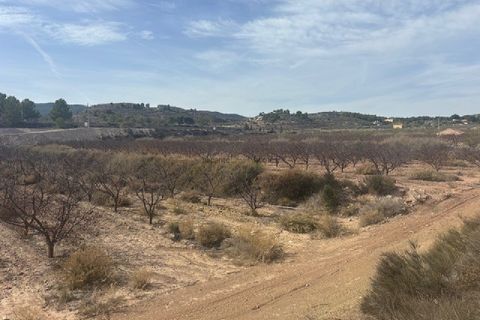 Terra a Monovar, Alicante, Monovar - € 49.000 | Ref: GM2815 - foto 5