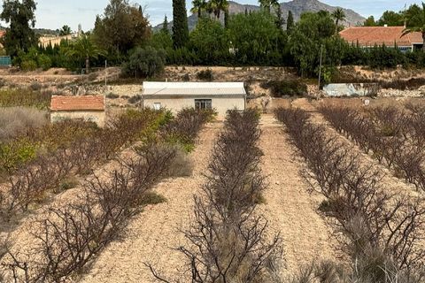 Terra a Monovar, Alicante, Monovar - € 94.995 | Ref: GM2814 - foto 4