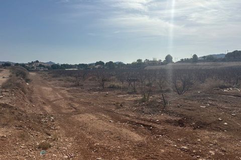 Terra a Monovar, Alicante, Monovar - € 94.995 | Ref: GM2814 - foto 5