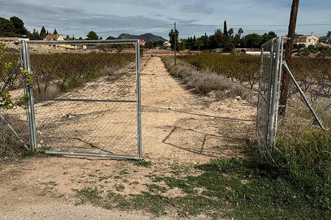 Terra a Monovar, Alicante, Monovar - € 94.995 | Ref: GM2814 - foto 8