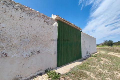 Landejendom i Yecla, Murcia, Yecla - € 675.000 | Ref: PA1120 - foto 4