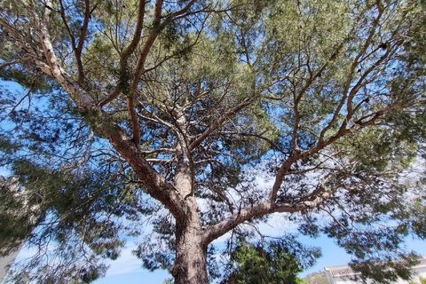 Landejendom i Yecla, Murcia, Yecla - € 675.000 | Ref: PA1120 - foto 7