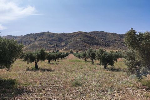 Landejendom i Yecla, Murcia, Yecla - € 675.000 | Ref: PA1120 - foto 8