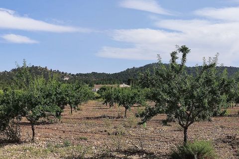 Landejendom i Yecla, Murcia, Yecla - € 675.000 | Ref: PA1120 - foto 12