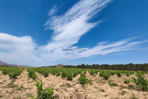 Landejendom i Yecla, Murcia, Yecla - € 675.000 | Ref: PA1120 - foto 14