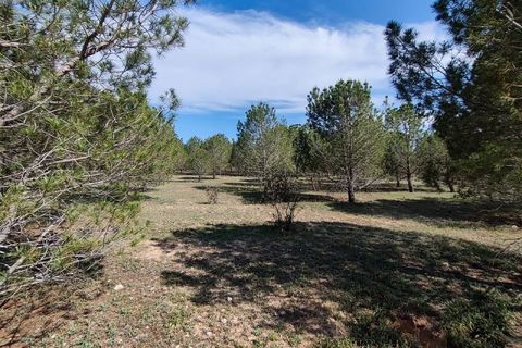 Landejendom i Yecla, Murcia, Yecla - € 675.000 | Ref: PA1120 - foto 15