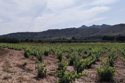 Landejendom i Yecla, Murcia, Yecla - € 675.000 | Ref: PA1120 - foto 20