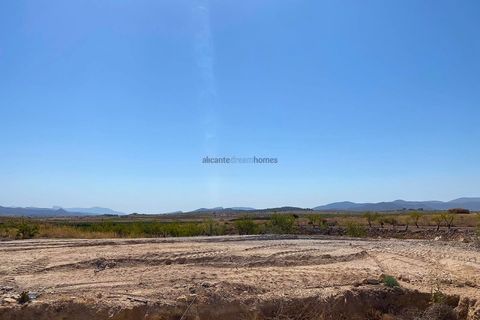 Villa i Pinoso, Alicante, Pinoso - € 389.995 | Ref: ELS9044 - foto 6