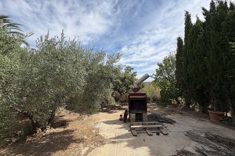Rækkehus i Pinoso, Alicante, Pinoso - € 85.000 | Ref: JJMA7401 - foto 26