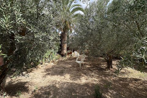 Rækkehus i Pinoso, Alicante, Pinoso - € 85.000 | Ref: JJMA7401 - foto 28