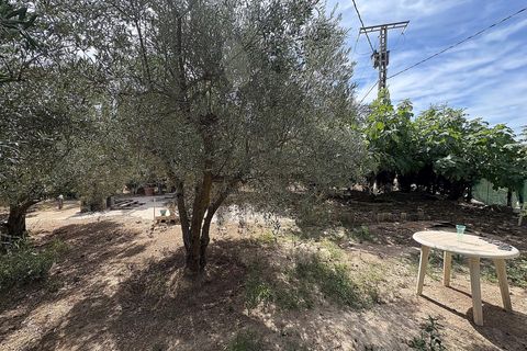 Rækkehus i Pinoso, Alicante, Pinoso - € 85.000 | Ref: JJMA7401 - foto 30
