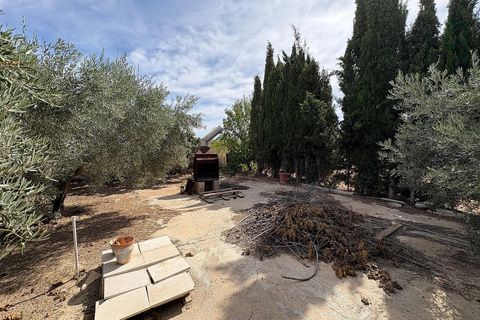 Rækkehus i Pinoso, Alicante, Pinoso - € 85.000 | Ref: JJMA7401 - foto 31