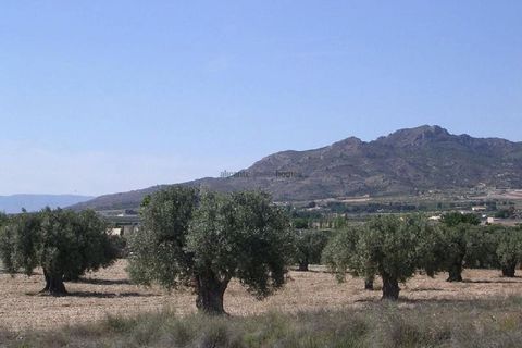 Terra a Sax, Alicante, Sax - € 45.000 | Ref: GRU08161 - foto 2