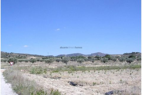 Terra a Sax, Alicante, Sax - € 45.000 | Ref: GRU08161 - foto 3