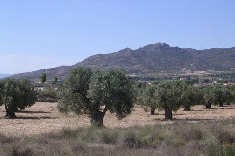 Terra a Sax, Alicante, Sax - € 45.000 | Ref: GRU08161 - foto 4