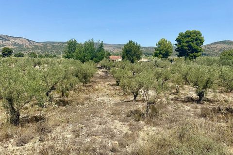 Villa a Onil, Alicante, Onil - € 498.000 | Ref: JJMA7403 - foto 21