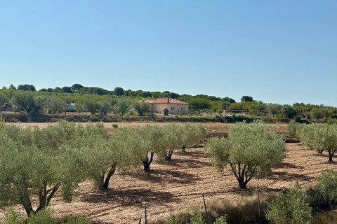 Villa a Onil, Alicante, Onil - € 498.000 | Ref: JJMA7403 - foto 24