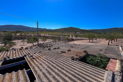 Landejendom i Monovar, Alicante, Monovar - € 70.000 | Ref: JJMA7405 - foto 8