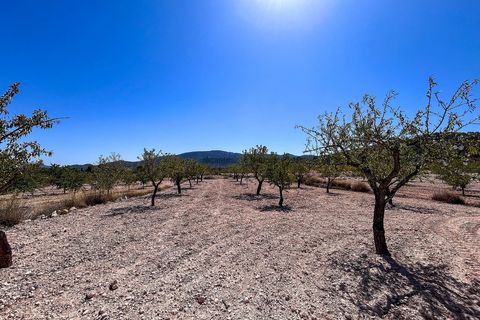 Landejendom i Monovar, Alicante, Monovar - € 70.000 | Ref: JJMA7405 - foto 14