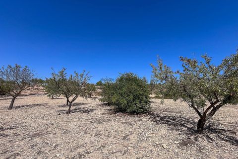 Landejendom i Monovar, Alicante, Monovar - € 70.000 | Ref: JJMA7405 - foto 15