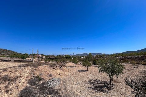 Landejendom i Monovar, Alicante, Monovar - € 70.000 | Ref: JJMA7405 - foto 16