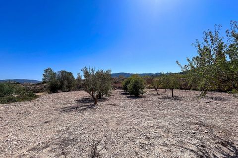 Landejendom i Monovar, Alicante, Monovar - € 70.000 | Ref: JJMA7405 - foto 17