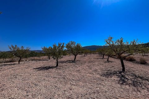 Landejendom i Monovar, Alicante, Monovar - € 70.000 | Ref: JJMA7405 - foto 19
