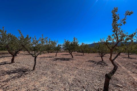 Landejendom i Monovar, Alicante, Monovar - € 70.000 | Ref: JJMA7405 - foto 24