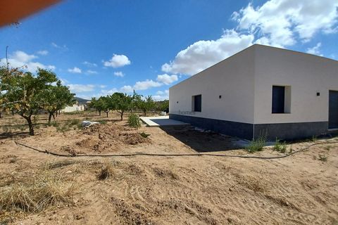 Villa i Pinoso, Alicante, Pinoso - € 239.995 | Ref: PT3125 - foto 17