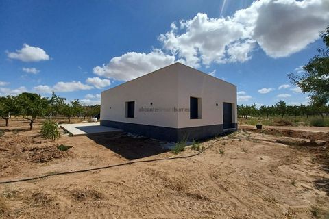 Villa i Pinoso, Alicante, Pinoso - € 239.995 | Ref: PT3125 - foto 19