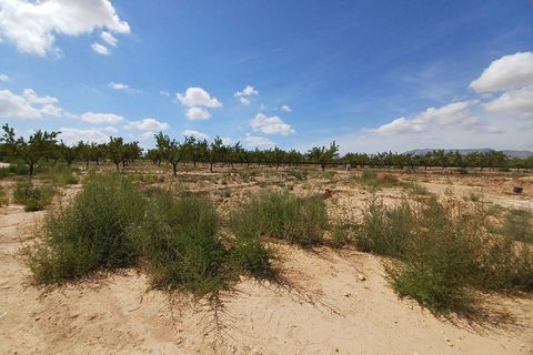 Villa i Pinoso, Alicante, Pinoso - € 239.995 | Ref: PT3125 - foto 21