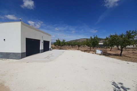 Villa i Pinoso, Alicante, Pinoso - € 239.995 | Ref: PT3125 - foto 26