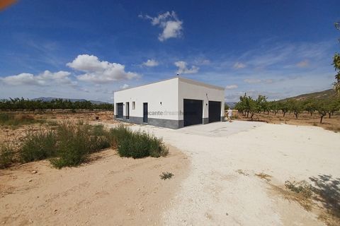 Villa i Pinoso, Alicante, Pinoso - € 239.995 | Ref: PT3125 - foto 27