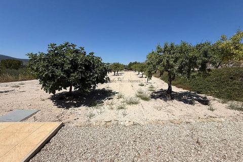 Landejendom i Castalla, Alicante, Castalla - € 550.000 | Ref: HH14335 - foto 25