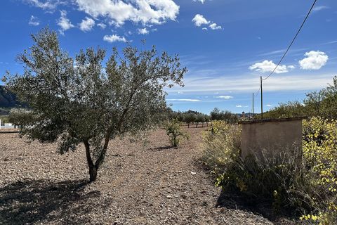 Landejendom i El Canton, Murcia, El Canton - € 149.950 | Ref: LS1401 - foto 42