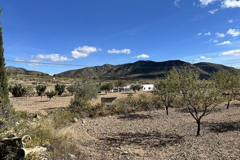 Landejendom i El Canton, Murcia, El Canton - € 149.950 | Ref: LS1401 - foto 46