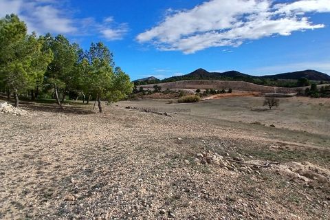 Landejendom i Caudete, Albacete, Caudete - € 199.950 | Ref: ETA234 - foto 11