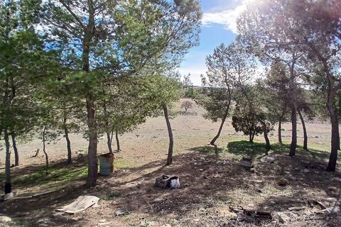 Landejendom i Caudete, Albacete, Caudete - € 199.950 | Ref: ETA234 - foto 13