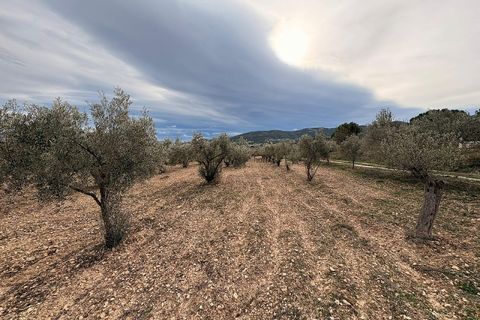 Terra a Onil, Alicante, Onil - € 90.000 | Ref: JJ7247 - foto 2