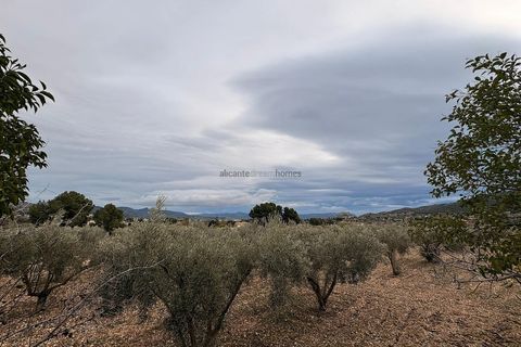 Terra a Onil, Alicante, Onil - € 90.000 | Ref: JJ7247 - foto 5