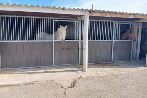 Landejendom i Monovar, Alicante, Monovar - € 189.995 | Ref: ETA235 - foto 4