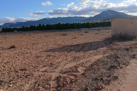 Helårsgrund i Yecla, Murcia, Yecla - € 37.000 | Ref: ETA236 - foto 3
