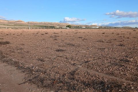 Helårsgrund i Yecla, Murcia, Yecla - € 37.000 | Ref: ETA236 - foto 4