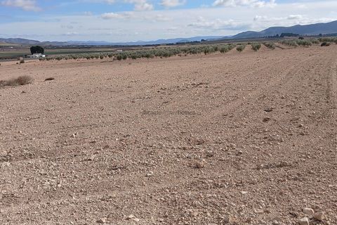 Terra a Yecla, Murcia, Yecla - € 216.460 | Ref: ETA237 - foto 2