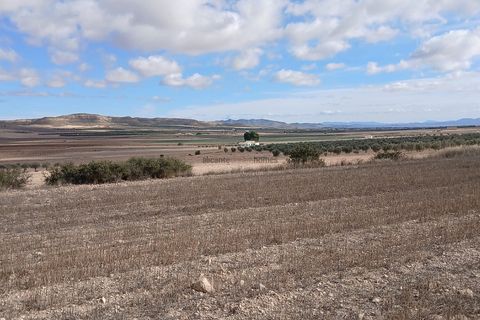 Terra a Yecla, Murcia, Yecla - € 216.460 | Ref: ETA237 - foto 4