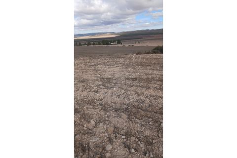 Terra a Yecla, Murcia, Yecla - € 216.460 | Ref: ETA237 - foto 5
