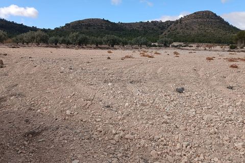 Terra a Yecla, Murcia, Yecla - € 216.460 | Ref: ETA237 - foto 10